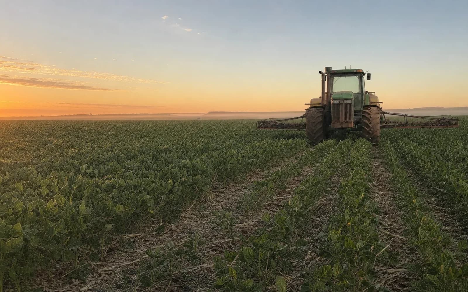 Tractor trabajando un lote al atardecer para representar tareas y seguimiento agropecuario